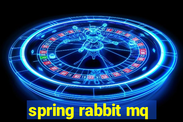 spring rabbit mq